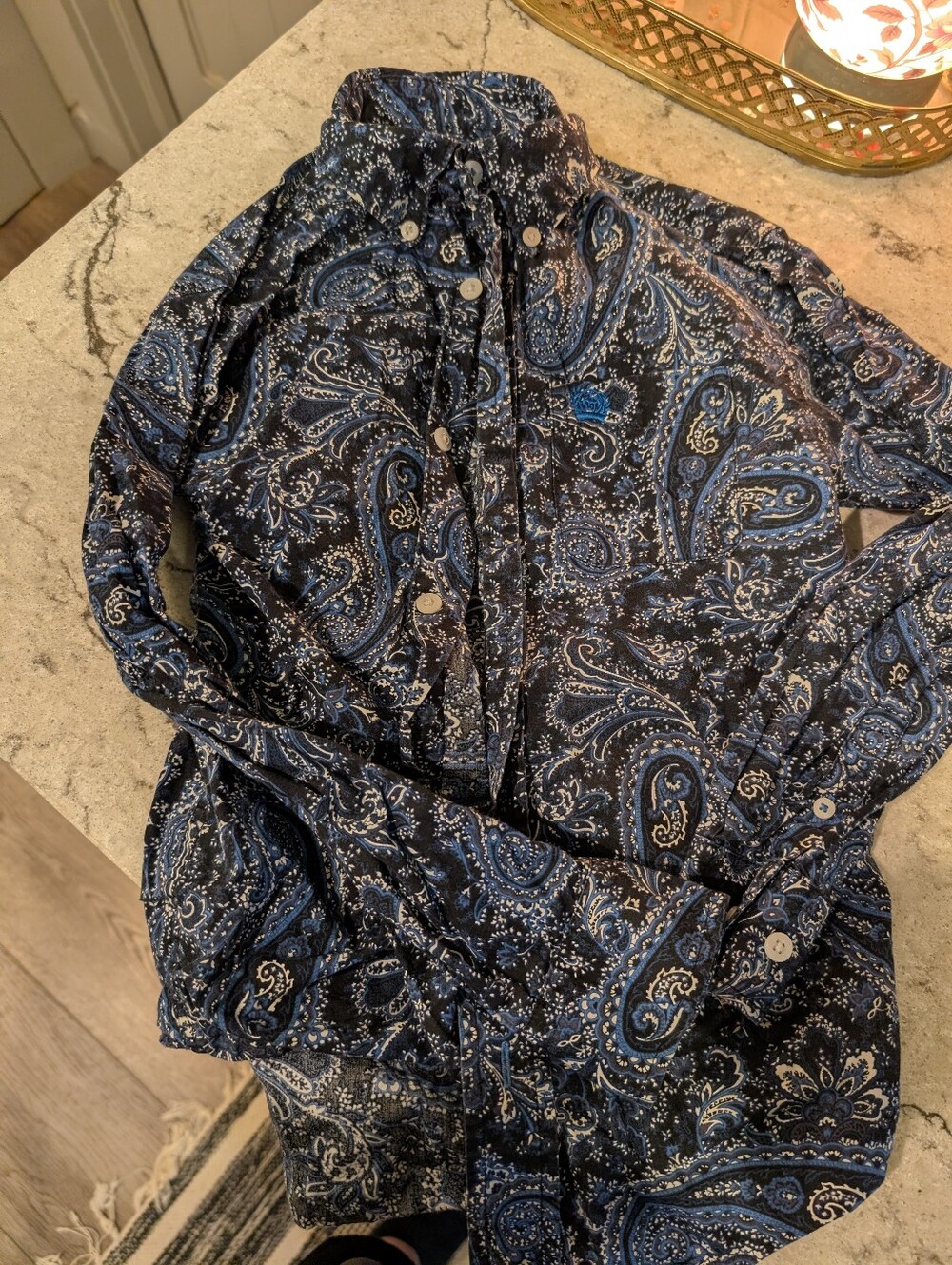 Boys Cinch Button Down Paisley